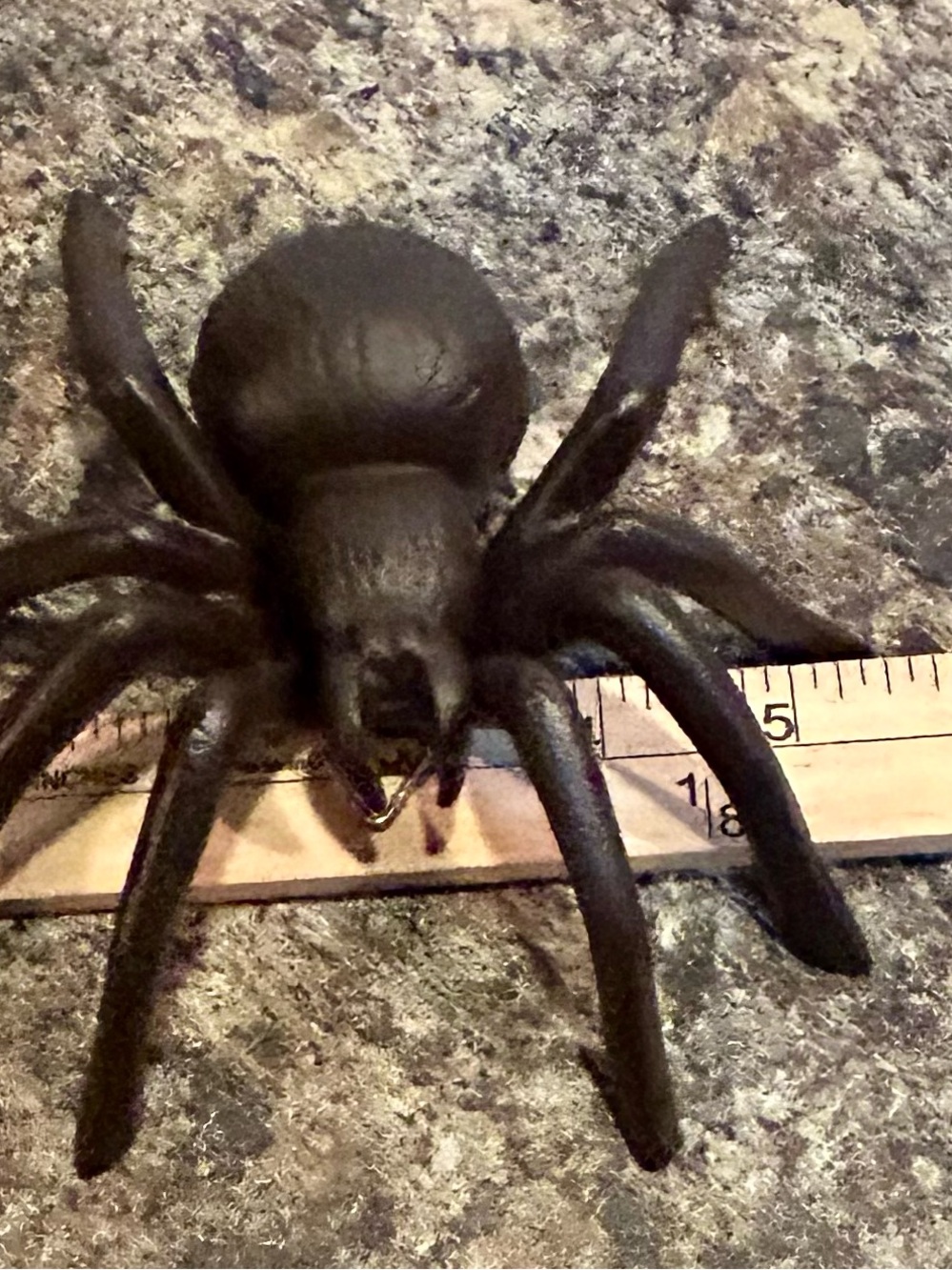 Black Spider Terrarium Enrichment Ornament for Reptiles
